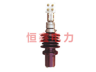 BD-10/20KV/800A-3150A BDW-20KV/800A-3150A套管（T型套管）